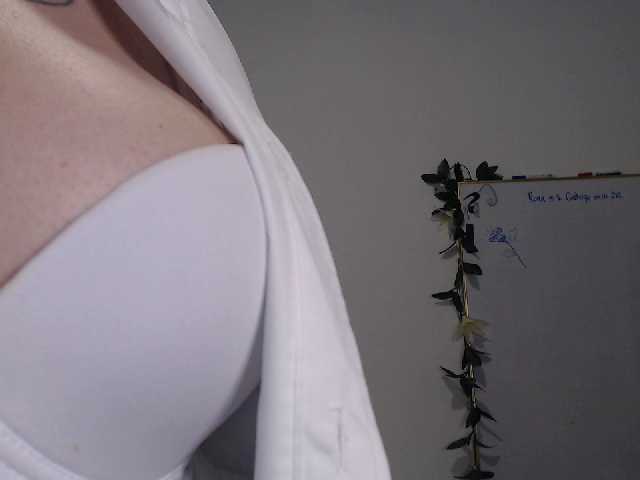 Emitiranje snimki zaslona AdaIson