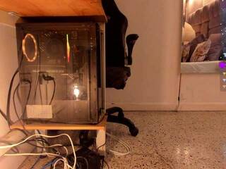 Erotski video chat amina-west