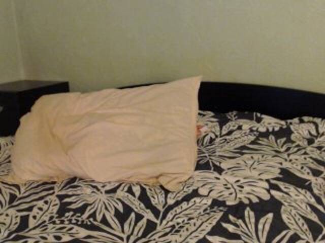 Emitiranje snimki zaslona Alissia_Kiss