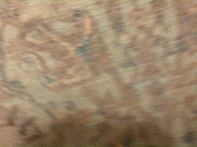 Emitiranje snimki zaslona ArinaLina