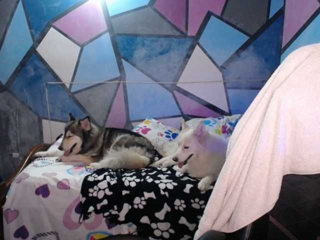 Emitiranje snimki zaslona beautifulchubbyqueen