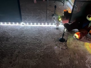 Erotski video chat -KOCMOC-13