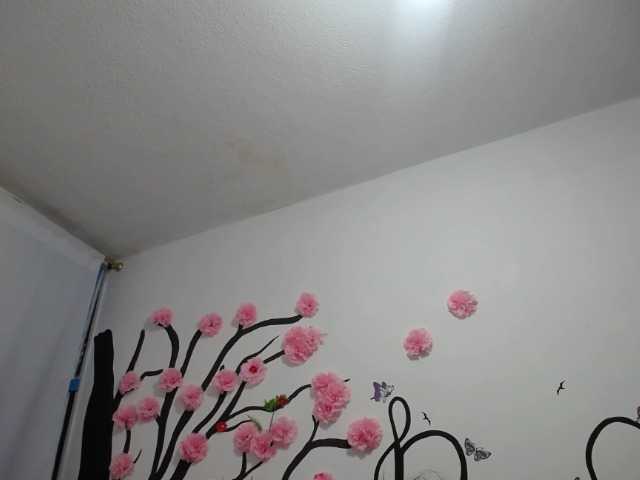 Emitiranje snimki zaslona RUBY-