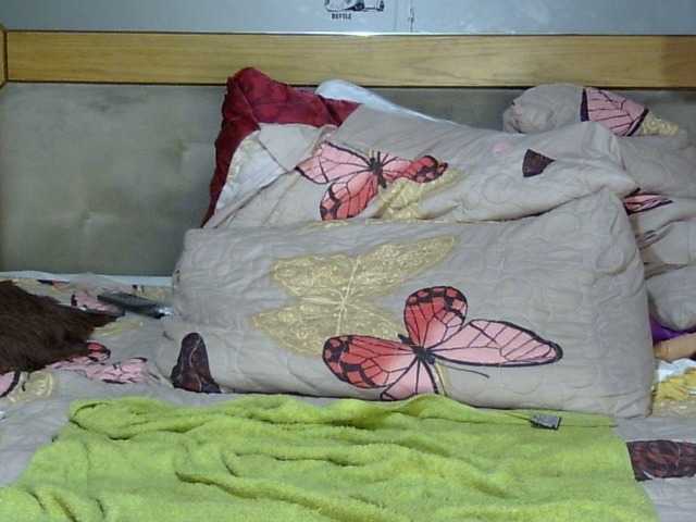 Emitiranje snimki zaslona bootynoe