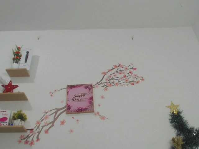 Emitiranje snimki zaslona Brionygip