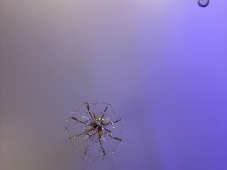 Erotski video chat cherryygirl