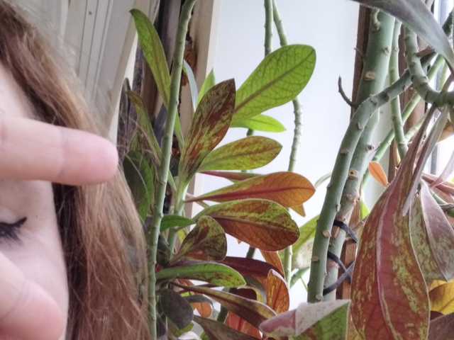 Fotografija profila Crazycouple8