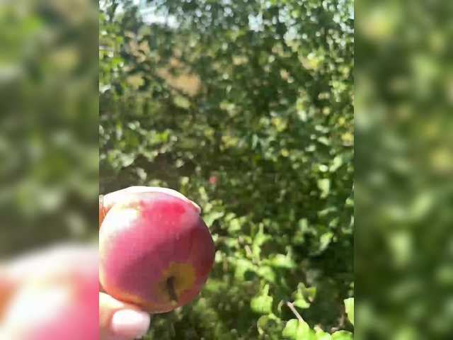 Emitiranje snimki zaslona SSaibaliii