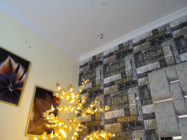 Emitiranje snimki zaslona DEVANY-REY