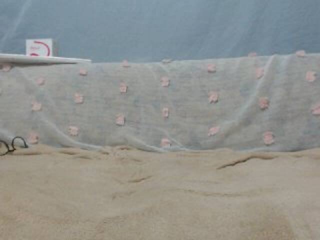 Emitiranje snimki zaslona DonnaWildJoyy