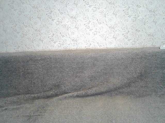 Emitiranje snimki zaslona ElegantBlonda