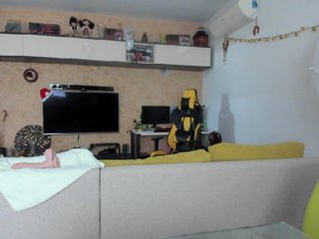 Emitiranje snimki zaslona Ellarouge