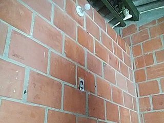 Erotski video chat EmiliAddams