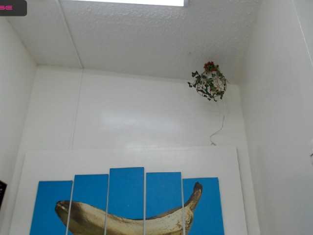 Emitiranje snimki zaslona evaklumm