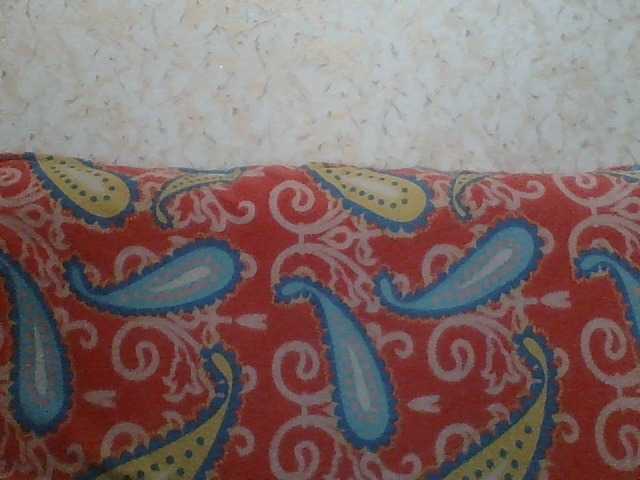 Emitiranje snimki zaslona Fantom-38