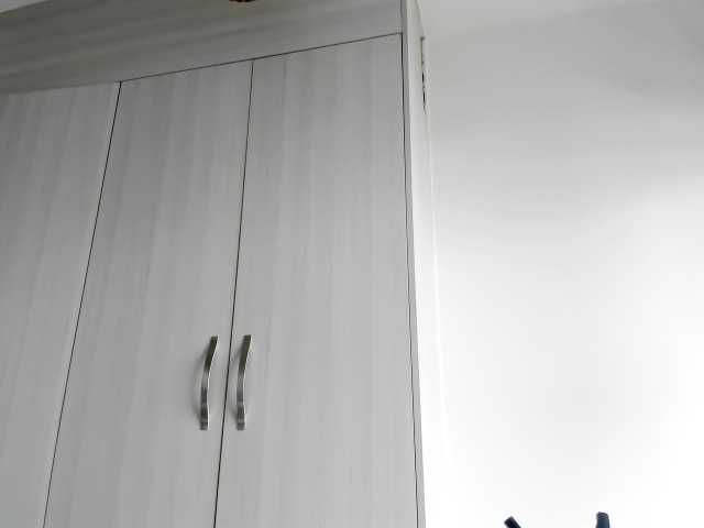 Emitiranje snimki zaslona fitnessebony