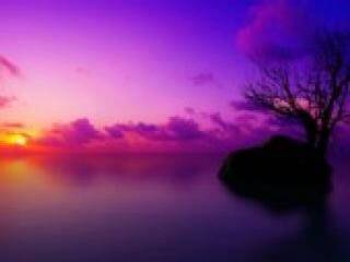 Erotski video chat florabella