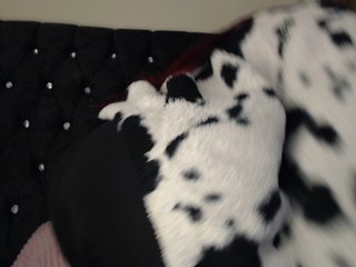 Erotski video chat Hornyrata