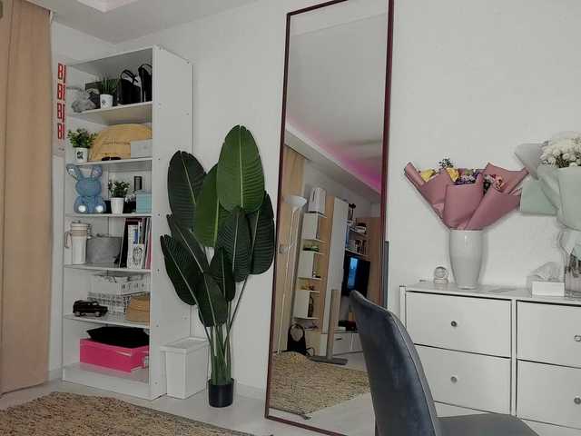 Emitiranje snimki zaslona leilasweet