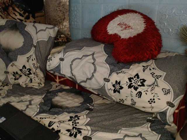 Emitiranje snimki zaslona lexianna818