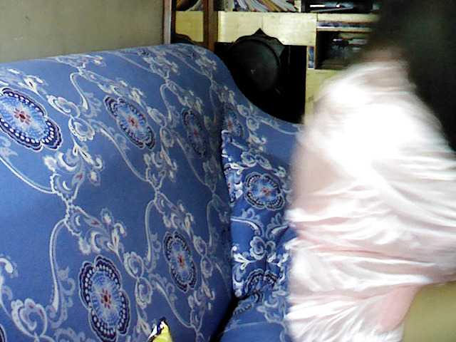 Emitiranje snimki zaslona mangogirl28