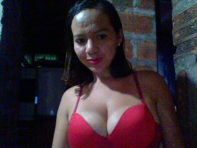 Emitiranje snimki zaslona princecanelit