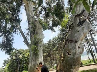 Erotski video chat PUPI-DEL-REY