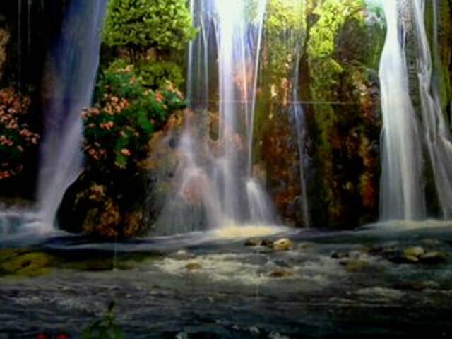 Emitiranje snimki zaslona regiha