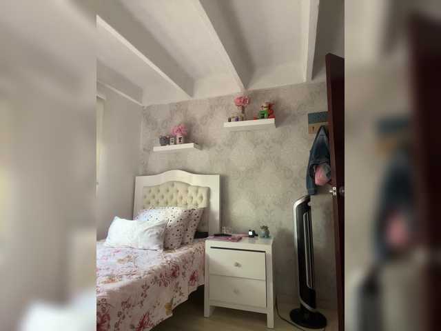 Emitiranje snimki zaslona SallyeLeins