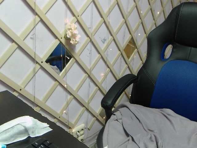 Emitiranje snimki zaslona SelinaSwan