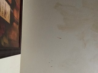 Erotski video chat Sexylexie18