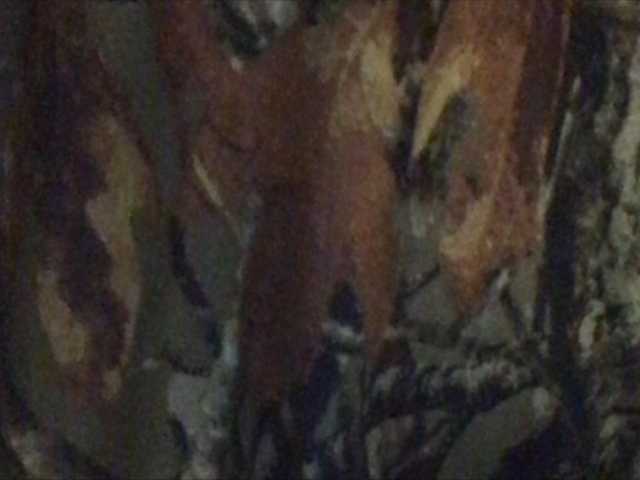 Emitiranje snimki zaslona shawtyyredd