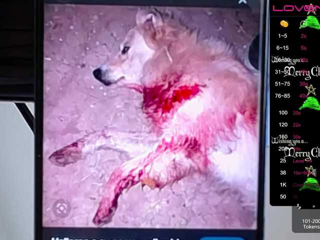 Emitiranje snimki zaslona sofiaclaus