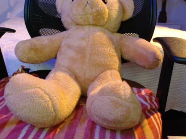 Emitiranje snimki zaslona SofiaZapata