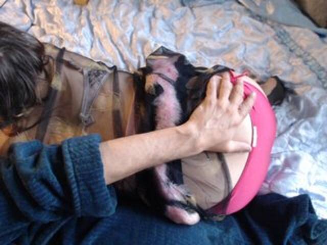 Emitiranje snimki zaslona Masha_Ivanova