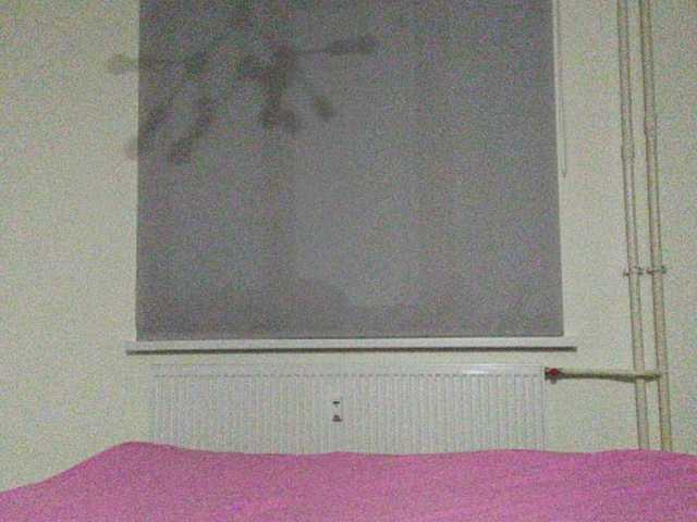 Emitiranje snimki zaslona Stasyaa