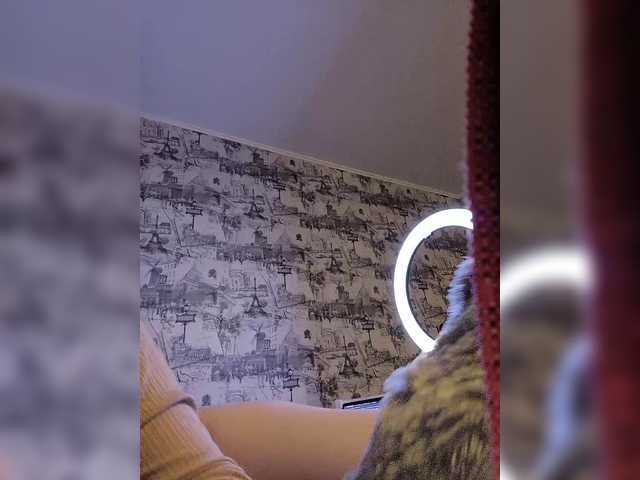 Emitiranje snimki zaslona _Lisichka