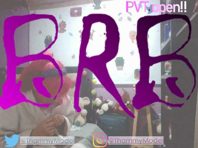 Emitiranje snimki zaslona ThammyModell