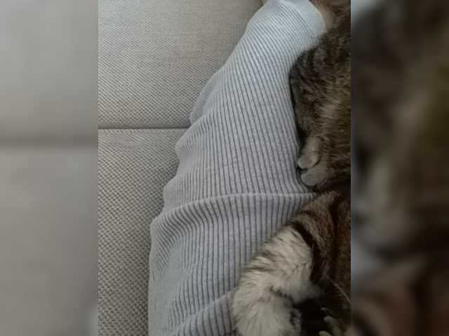 Emitiranje snimki zaslona GolayaPravda