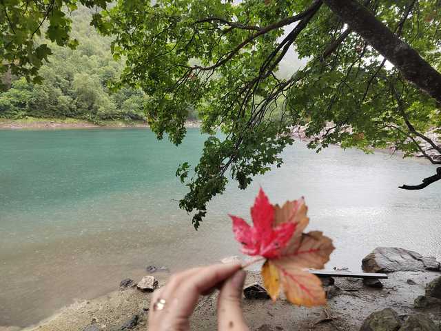 Fotografija profila _GoodGirl_