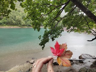 Erotski video chat _GoodGirl_