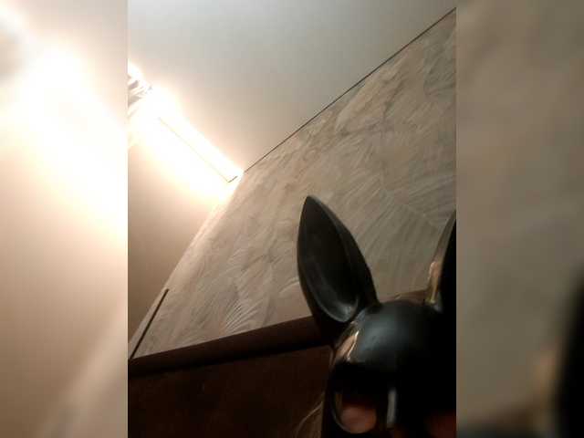 Emitiranje snimki zaslona Vikysha